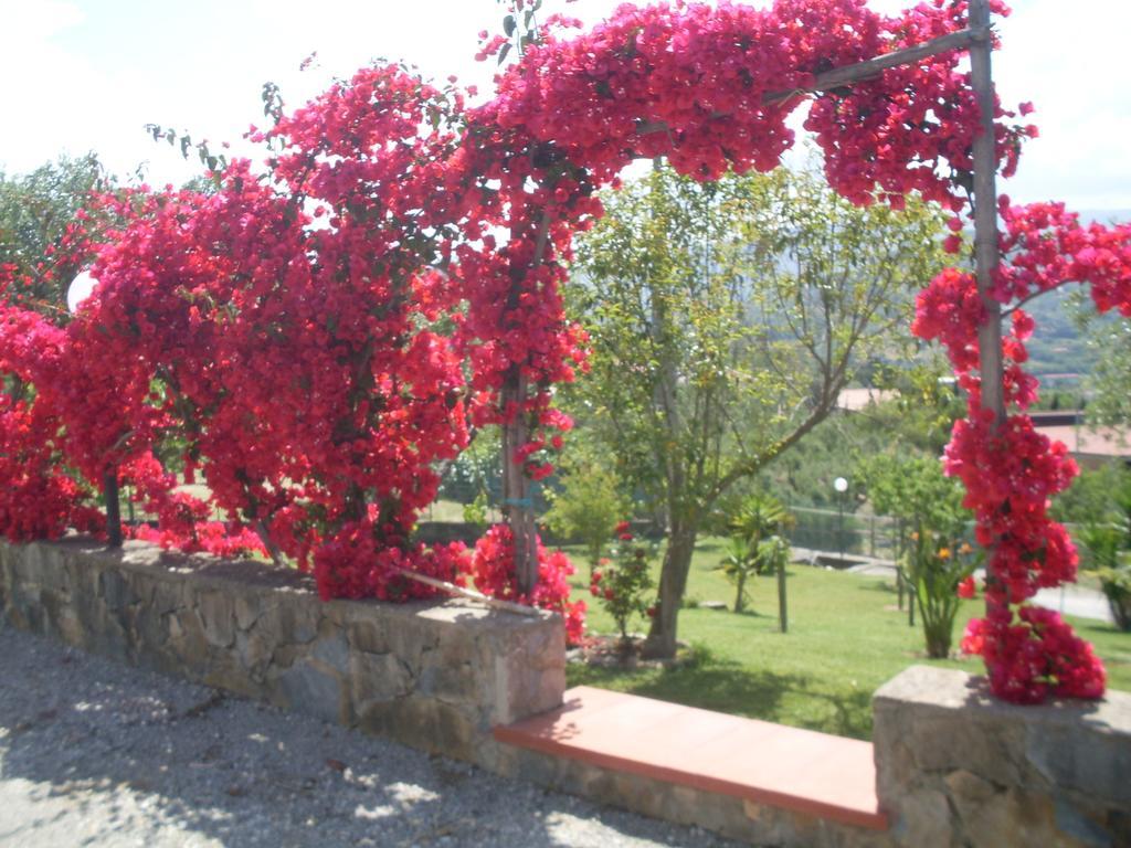 La Selva Hotel Agropoli Exterior foto